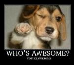 d48067735d5e7cf6bd8dd85ee31462ff